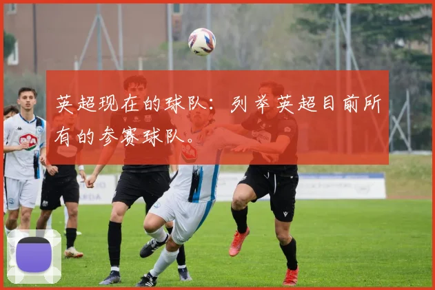 英超现在的球队：列举英超目前所有的参赛球队。