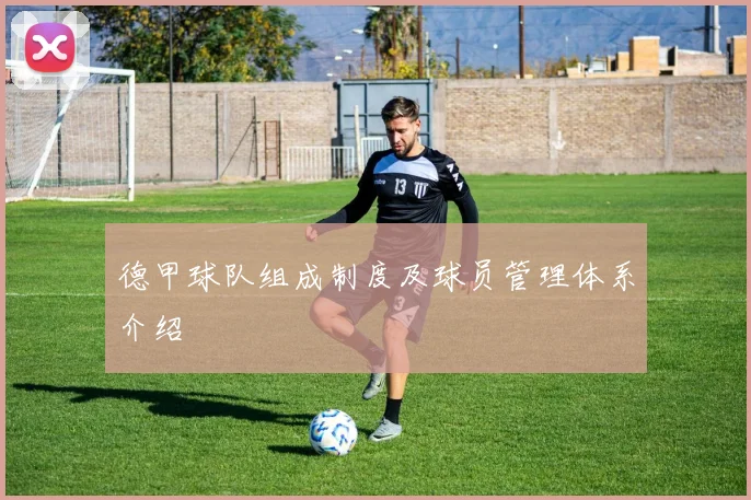 德甲球队组成制度及球员管理体系介绍