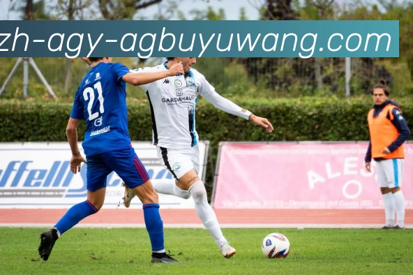 AG捕鱼王官网APP 高清赛事图