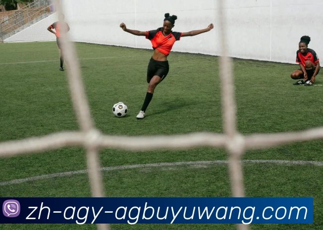 数据防护可视化